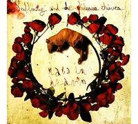 Rats In Heaven Suffering & The Hideous Thieves