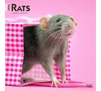 Rats - Ratten 2026 - 16-Monatskalender: Original BrownTrout-Kalender [Mehrsprachig] [Kalender]