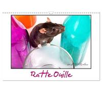 Ratte Ouille (Calendrier mural 2027 DIN A3 vertical), CALVENDO calendrier mensuel: Gentille muridée