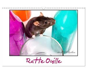 Ratte Ouille (Calendrier mural 2027 DIN A3 vertical), CALVENDO calendrier mensuel: Gentille muridée