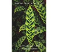 RATTLESNAKE PLANT: Botanical Notebook Featuring Calathea lancifolia