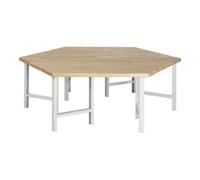 RAU Etabli Rau group modèle 4000, KL 1350mm x L 2700 x P 2340 x H 840mm Quantité:1