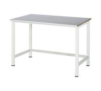 RAU Rau table de travail plaque de recouvrement en tôle d'acier LxPxH 1250x800x825 mm Quantité:1