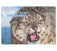 Raubkatzen: Geschmeidige Jäger (Tischkalender 2026 DIN A5 quer), CALVENDO Monatskalender: Raubtiere: Elegant, stark und gefährlich