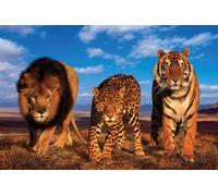 Raubkatzen - Poster - Three Big Cats + 2 St Posterleisten Holz 92 cm schwarz