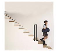 RAUGAJ Balustrade de Main Courante D'Escalier En Métal Noir -1/2/3/5/10Pcs, Hôtel/Salon/Bureau Des Barres de Saisie Auxiliaires, Tube Carré de Fer, Support Latéral/1 Pcs/26"(66Cm) Tall
