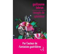Ravagés de splendeur - Guillaume Lebrun - Bourgois - broché - Roman