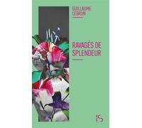 Ravagés de splendeur - Guillaume Lebrun - Bourgois - Poche - Roman