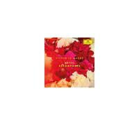 Victor Le Masne – Ravel Recomposed – Vinyle 12"
