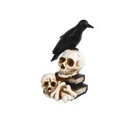 Raven on Skull Halloween Decorations with LED Lights, Crow Perching On Skeleton Figurine, Glowing Statue for Halloween Party Home Decor