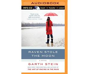 Raven Stole the Moon by Garth Stein (2015-08-11)