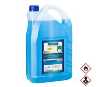 Ravenol Antigel Pour Vitres Concentré Avec Parfum Citrus 5000ml