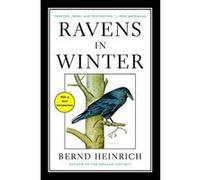 Ravens in Winter - [Version Originale] Bernd Heinrich Phd (Auteur)