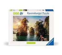 Ravensburger 12000001 Jeu de puzzle 1000 pièce(s) Autres G