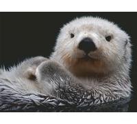 Ravensburger 12000235 Puzzle-12000235 Puzzle Mignon Petite Loutre 500 pièces