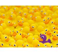 Ravensburger 12000587 Challenge Puzzle 12000587 Canard de Bain 1000 pièces