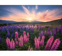 Ravensburger 12000688 - Niagara Falls - 1000 pieces jigsaw puzzle - Puzzle for a