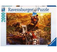 Ravensburger - 16646 - Puzzle - Le Bain des Tigres - 2000 Pièces
