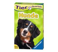 Ravensburger 20420 - Tierquartett Hunde, classique pour 3-6 joueurs à partir de 4 - 12 ans, 32 races de chiens