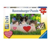 Ravensburger 2x24 p Chatons au repos puzzle multicolore G