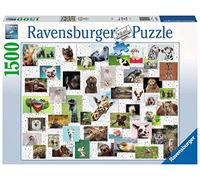 Ravensburger- Collage Animals Amusant Tiere Puzzle 16711-Funny Collage-1500 pièces, 16711, Multicolore