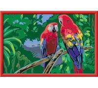 Ravensburger Peinture par numéros 23770 – Perroquets colorés – Dès 9 ans