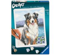Ravensburger - CreArt 24x30 cm - Adulte - Peinture par numéros - Berger Australien - Loisir créatif - 12023114