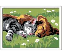 Ravensburger – Set de peinture numérique Deep Sleep, Chiens et Chats, 7+ ans, cadre et pinceau