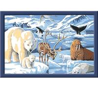 Ravensburger CreArt 28909 - Arctic Animals - Peinture par numéro pour Enfants de 11 Ans et Plus, Ensemble de Peinture avec Cadre, Pinceau et peintures acryliques, Cadeau pour Filles et garçons