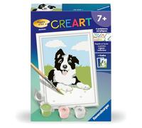 Ravensburger - CreArt Kids 8x12 cm - Numéro d'art - Border Collie - Kit de Peinture par numéros - Dès 7 Ans - 25593