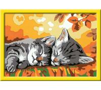 Ravensburger Malen nach Zahlen Kätzchen im Herbst, Mal-Set für Kinder, 28696