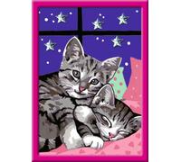 Ravensburger Malen Nach Zahlen Schlafende Katzen, Mal Set, Malvorlage, Vorlage, Bild, Kinder, Farbige Motivlinien, 27995 1