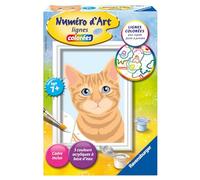 Ravensburger - Numéro d’Art Format 8x12cm - Chat Roux - Loisir créatif - Kit de Peinture par numéros - Activité détente et créative - Dès 7 Ans - 23925 - Version française