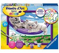Ravensburger - Numéro d’Art Moyen Format - Chatons dans Le hamac - Loisir créatif - Kit de Peinture par numéros - Activité détente et créative - Dès 9 Ans - 28679 - Version française