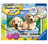 Ravensburger - Numéro d’Art Petit Format - Adorables Chiots - Loisir créatif - Kit de Peinture par numéros - Activité détente et créative - Dès 7 Ans - 28528 - Version française