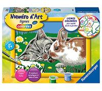 Jeu créatif Ravensburger Numéro d'Art Petit Chaton et son compagnon lapin