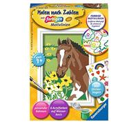 Ravensburger Peinture par numéro