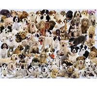Ravensburger - Puzzle - 1000 Pièces - Galerie de Chiens
