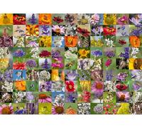 Ravensburger Puzzle 12000617-99 Abeilles - Puzzle de 1000 pièces pour Adultes et Enfants à partir de 14 Ans