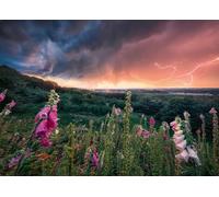 Ravensburger Puzzle 12000793 - Une tempête Attire - Puzzle de 1000 pièces pour Adultes et Enfants à partir de 14 Ans