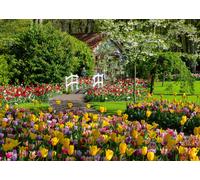 Ravensburger Puzzle 12000851 - Beautiful Gardens, Keukenhof Gardens, Niederlande