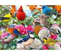 Ravensburger Puzzle 2D – Oiseaux de jardin – 500 pièces – Nouveau design