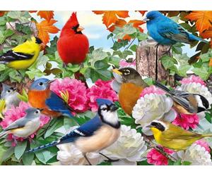 Ravensburger Puzzle 2D: Ptaki ogrodowe 500 elementów, Nowy Design