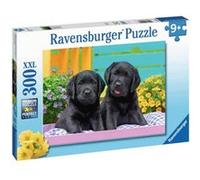 Ravensburger Puzzle enfant Labradors noirs 300 pièces XXL Dès 9 ans 12950