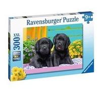 Ravensburger - Puzzle 300 pièces XXL - Labradors noirs multicolore G