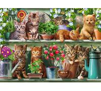 Ravensburger - Puzzle 500 pièces - Chats sur l'étagère | Adulte et enfant dès 12 ans - Puzzle de qualité supérieur - Pièces uniques et assemblage parfait - Détente et relaxation