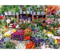 Ravensburger Puzzle 500 pièces pour adulte – Marché aux fleurs France