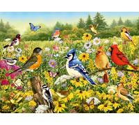 Ravensburger – Puzzle Oiseaux dans la Prairie – 500 pièces – Dès 12 ans – Animaux