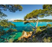 Ravensburger Puzzle adulte 500 pièces – Vue sur la mer – Qualité supérieure – Dès 12 ans