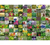 Ravensburger Puzzle 12000073 – 99 Herbes et épices – 1000 pièces – Adultes et enfants dès 14 ans